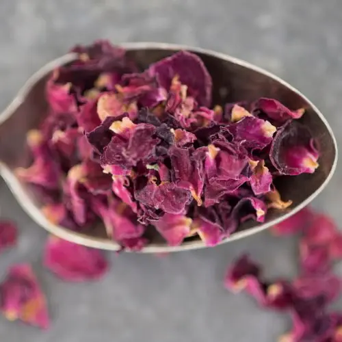 Bulk organic rose petal tea ingredients wholesale
