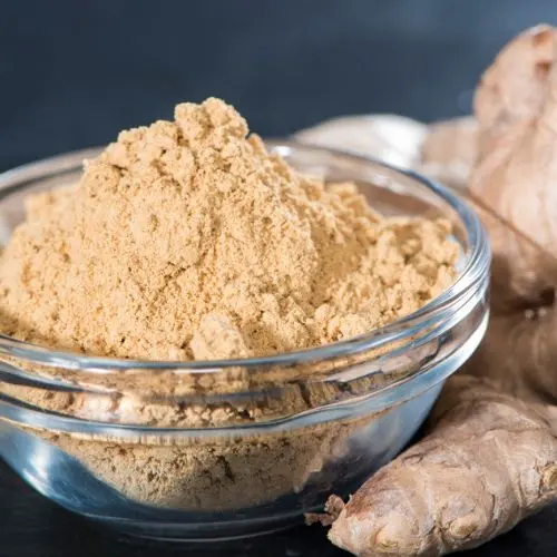 Bulk organic ginger powder wholesale supplier