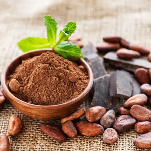Bulk organic cacao products wholesale supplier