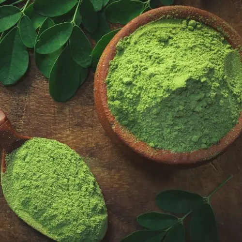 Bulk organic moringa leaf powder premium wholesale