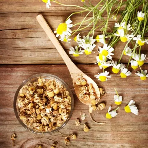 Bulk organic chamomile tea ingredients wholesale