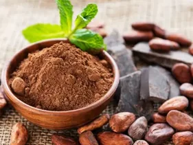 Bulk organic cacao powder nibs and paste wholesale supplier USA